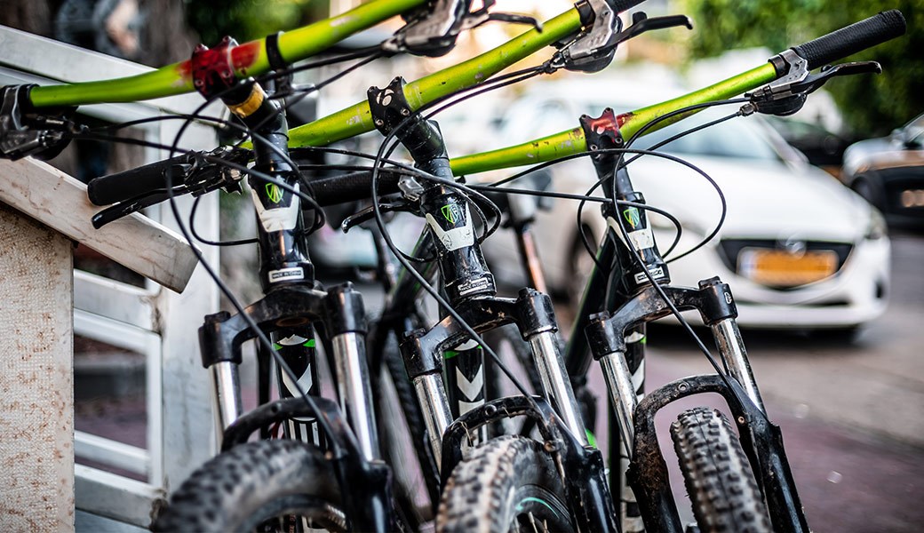 Bicycle rentals Bicycle rentals