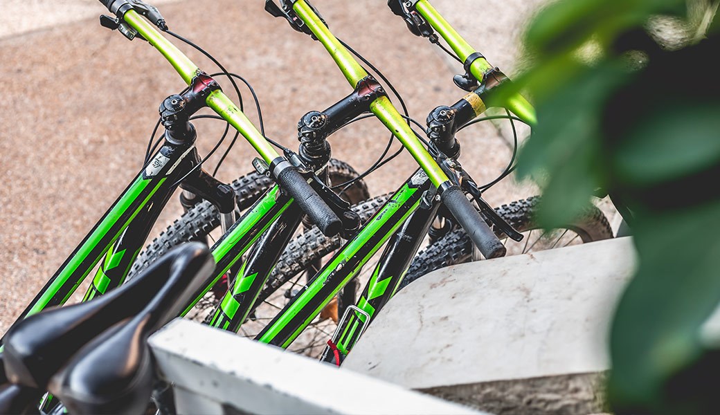 Bicycle rentals Bicycle rentals