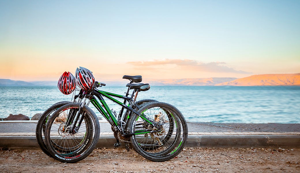 Bicycle rentals Bicycle rentals